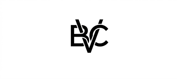 BVcompany
